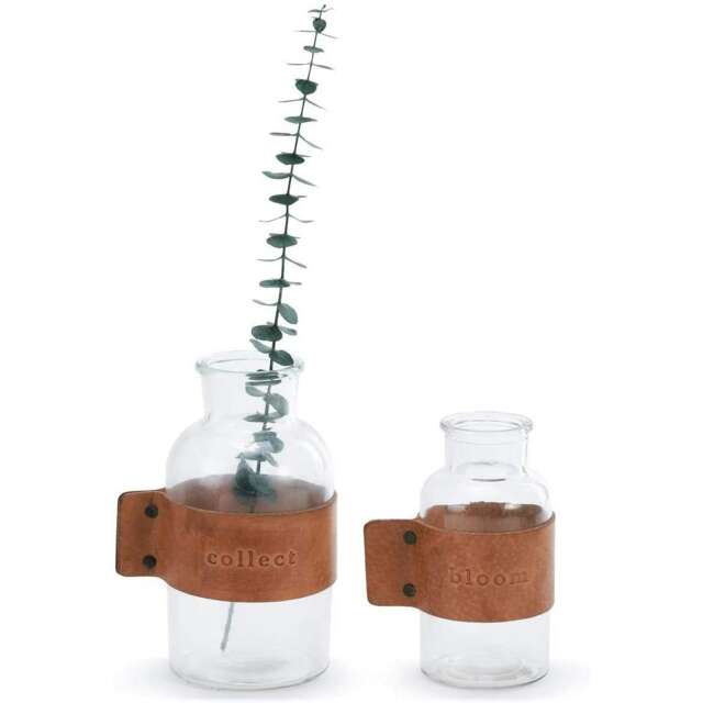 Demdaco Leather Jar Décor Bloom And Collect Set Of 2 Brown