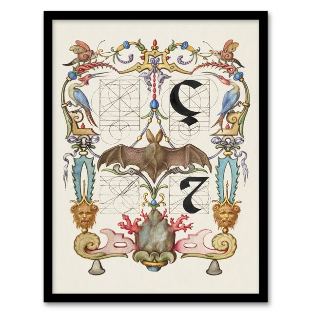 Model Book of Calligraphy Framed Wall Art Pictoral Letter Guide with Bat