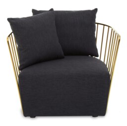 Orsina Black Fabric Chair, Gold Finish Steel Frame Accent Chair, Lounge Chair with 2 Cushions, Armchair for Home