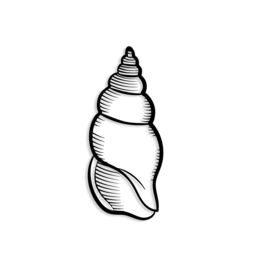 Decortie Shell Metal Wall Art 24x57.5cm Black