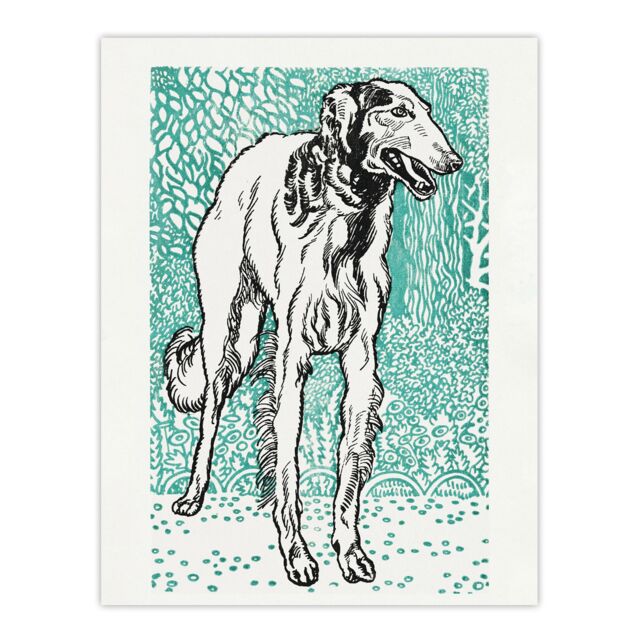 "Long Haired Greyhound Russian Wolfhound Dog Jung Wall Art Poster Print 24X32"""
