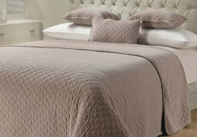 Sweet Dreams Sanzio Luxury Cotton Velvet Quilted Throw - 265cm x 265cm Cream