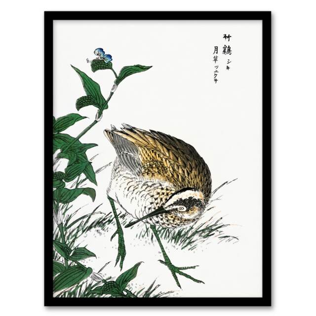 "Greenshank and Bupleurum Japanese Vintage Framed Wall Art Print Kashu 12x16"""