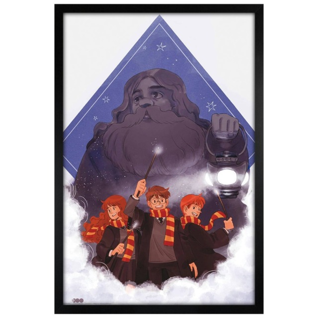 Black Wooden Framed Harry Potter Hagrid Maxi Poster Multi