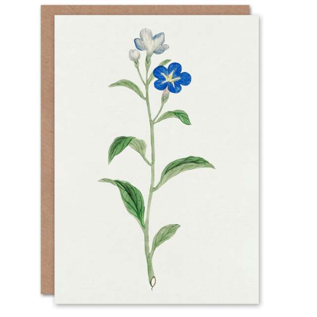 Vintage Japanese Botanical Art Card Blue Flower