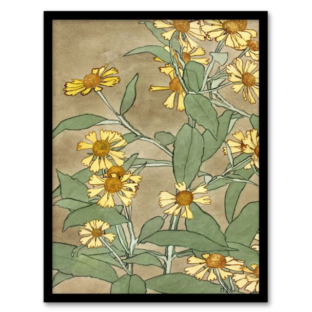 Hannah Borger Overbeck Framed Wall Art Daisies with Yellow Petals Home Décor