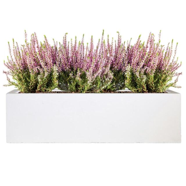 Window Box Light Concrete White Garden Planter L80 W17 H17.5 cm, 24 ltrs Cap.