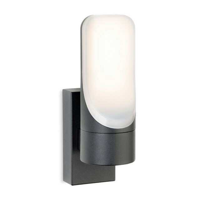Eve LED Wall Light Graphite with Opal Diffuser IP54