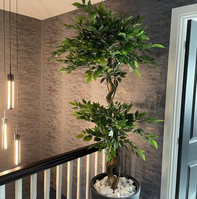 150cm Twisted Trunk Artificial Japanese Fruticosa Style Ficus Tree Green 5ft