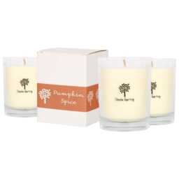 Nicola Spring 3x Pumpkin Spice Scented Candles - 160g 28h Natural Single Wick Soy Wax Aromatherapy Candle Home Fragrance