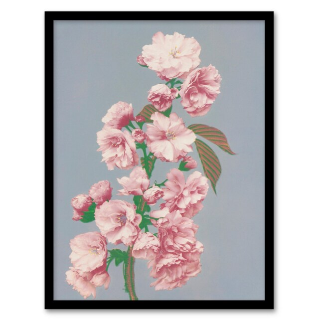 Ogawa Kazumasa Framed Wall Art Print Cherry Blossom Flower Bloom Home Décor