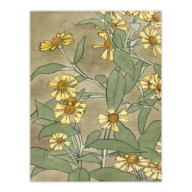 "Daisies with Yellow Petals Wall Art Print Hannah Borger Overbeck 12x16"""