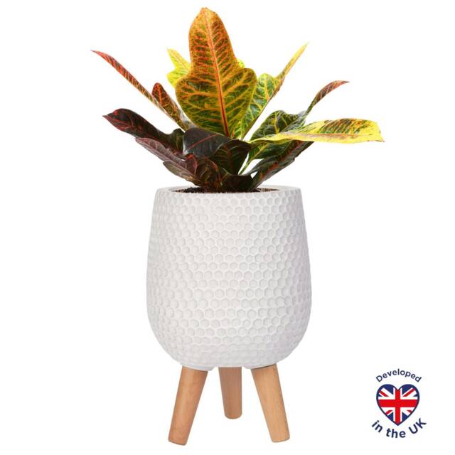 Honeycomb Style White Planter with Legs, Round Indoor Plant Pot Stand for Indoor Plants by Idealist Lite D21 H34 cm, 6L