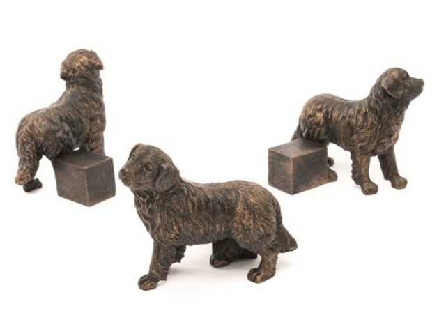 Bernese Mountain Dog Plant Pot Feet - Set of 3 - L8 x W8.5 x H10.3 cm Grey