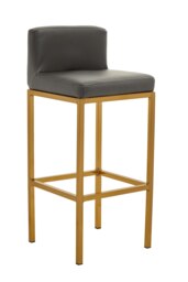 Orsina Dark grey and Gold Finish Bar Chair, Glam Touch Indoor Metal Bar Stool, Footrest Bar Chair