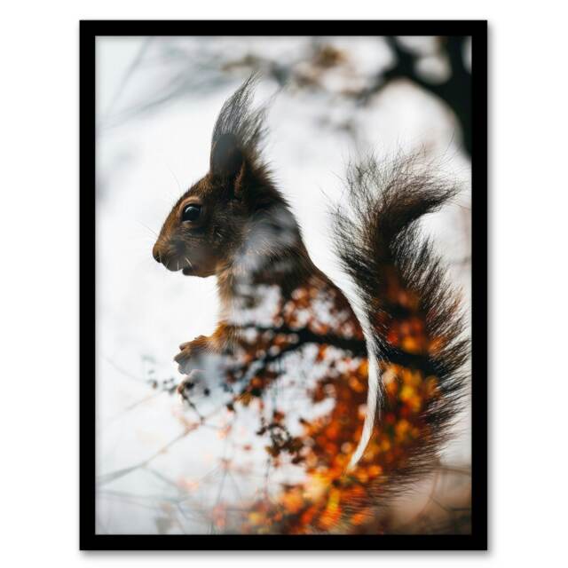 Squirrel Autumn Photo Woodland Animal Living Room Black Framed Wall Art Print A4