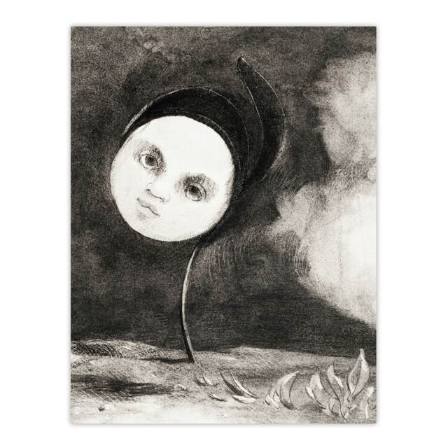 "Strange Flower with a Face Redon Vintage Wall Art Poster Print 12X16"""
