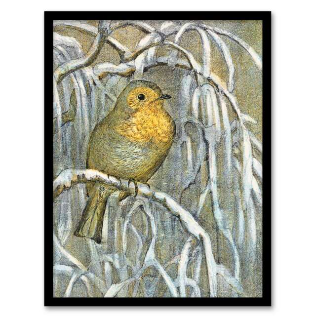 "Robin on Snowy Tree Branch Vintage Framed Wall Art Print van Hoytema 12x16"""
