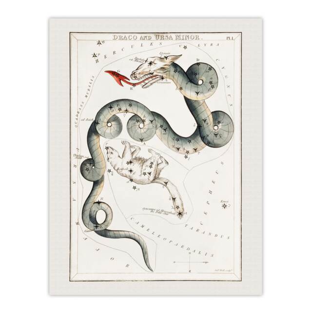 "Draco and Ursa Minor Constellation Hall Wall Art Poster Print 12X16"""