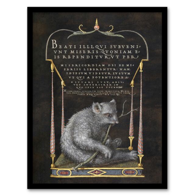"Latin Beatitudes with Sloth Artwork Hoefnagel Framed Wall Art Print 12X16"""