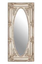 Functional Champagne Finish Oval Border Wall Mirror, Timeless Mirror For Livingroom, Elegant Modern Mirror Silver