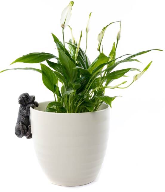 Labrador Plant Pot Hanger - L5 x W5 x H10 cm Black