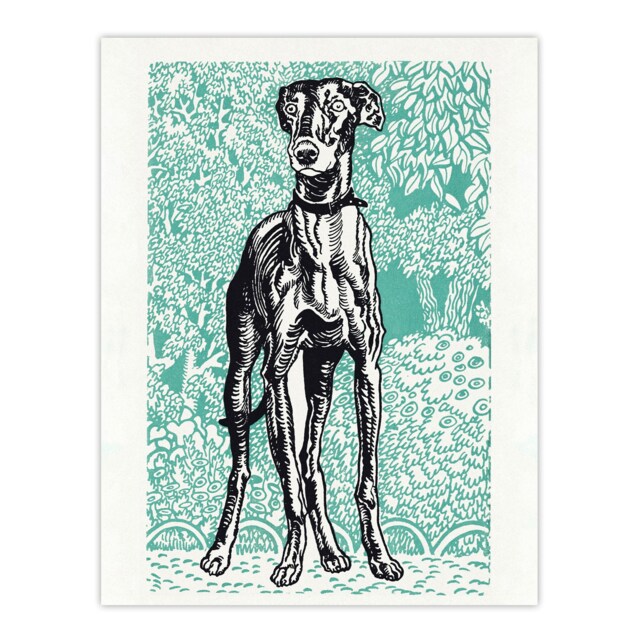 Dog Lover Greyhound Pet Portrait Moriz Jung Huge Wall Art Print 18X24 In