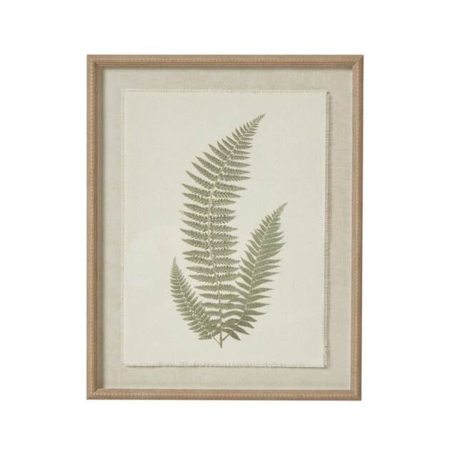 Fern Art on Texture-Torn Paper with Beaded Frame - Glass - L2 x W40 x H50 cm - White Brown Not provided