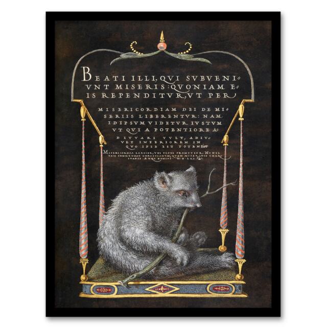 Joris Hoefnagel Framed Wall Art Latin Beatitudes with Sloth Illustration