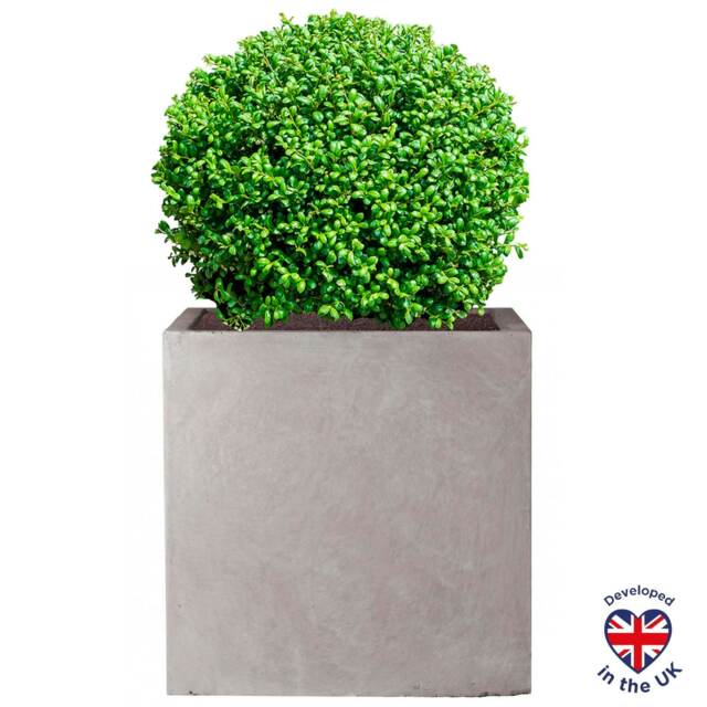 Square Box Grey Light Concrete Garden Planter H30 L30 W30 cm, 27 ltrs Cap.