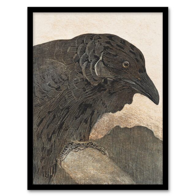 "Old Crow Bird Painting Vintage Framed Wall Art Print van Hoytema 12x16"""