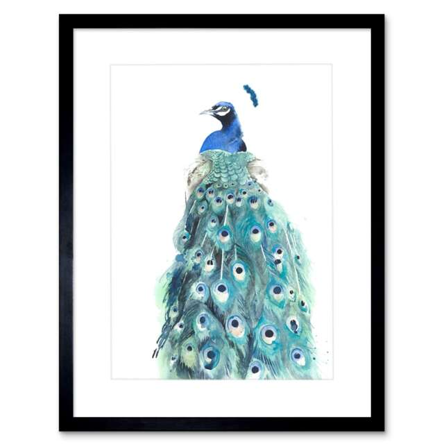 "Elegant Peacock Bird Tail Feathers Watercolour 9x7"" Black Framed Wall Art Print"