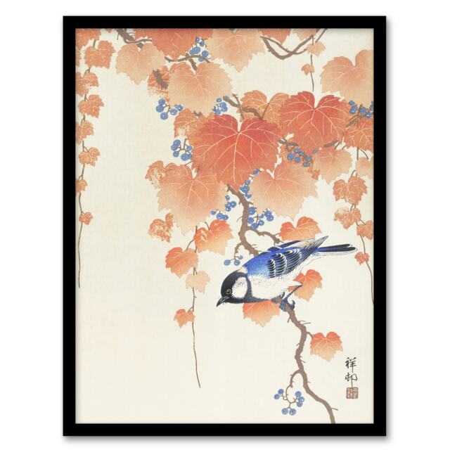 "Great Tit On Paulownia Branch Vintage Japan Framed Wall Art Print Koson 12x16"""