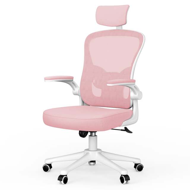 Rattantree Ergonomic Office Chair With Headrest & Lumbar Support