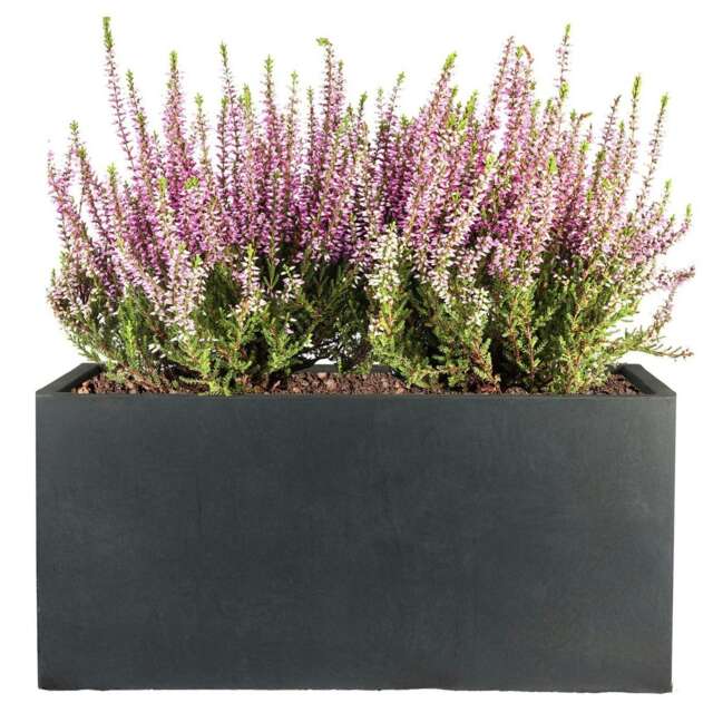 Window Box Light Concrete Faux Lead Outdoor Garden Planter H20.5 L50 W20 cm, 21 ltrs Cap.