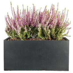 Window Box Light Concrete Faux Lead Outdoor Garden Planter H20.5 L50 W20 cm, 21 ltrs Cap.