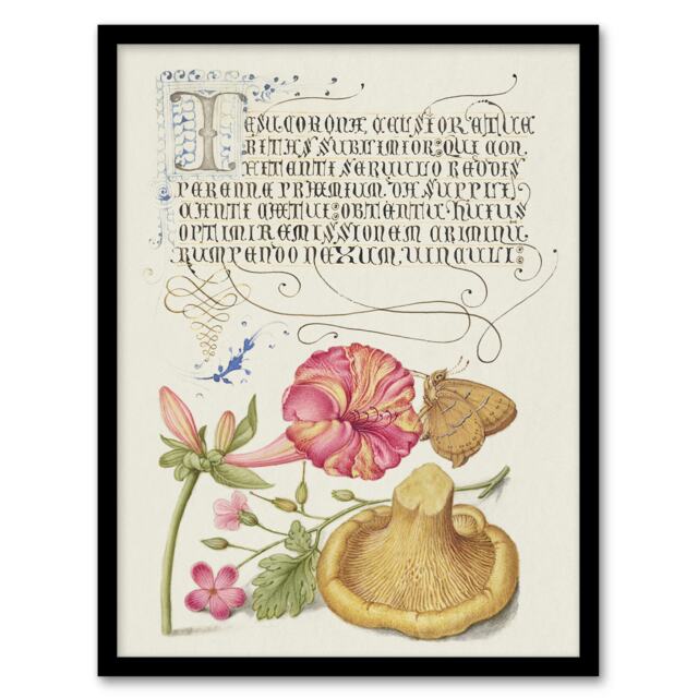 "Flowers Mushroom and Butterfly Calligraphy Framed Wall Art Print 12X16"""