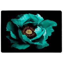 Cyan Peony Flower Rug Multi