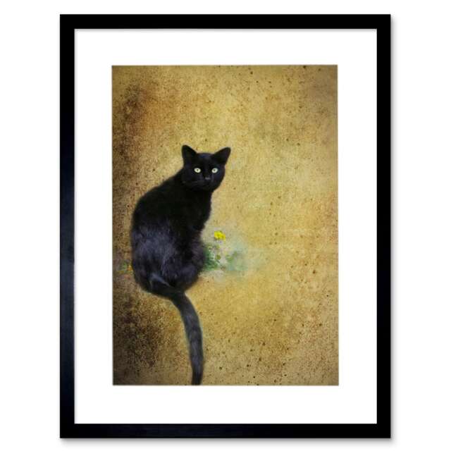 "Photo Composition Cat Black Flower Yellow Cool 12x16"" Framed Wall Art Print"