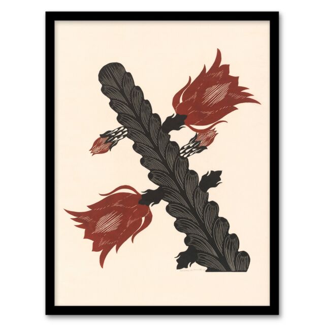 "Stylised Blooming Cactus De Mesquita Framed Wall Art Print 12X16"""