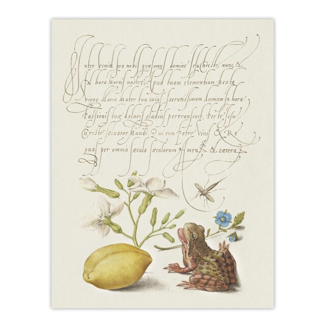 "Gillyflower Almond and Frog Calligraphy Wall Art Poster Print 12X16"""