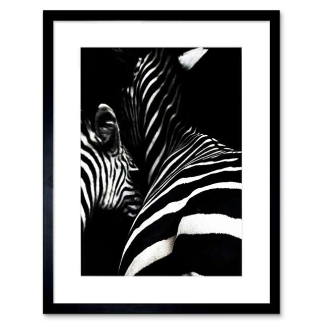 "Zebra Modern Abstract Black White Animal Photograph 9x7"" Black Framed Wall Art Print"
