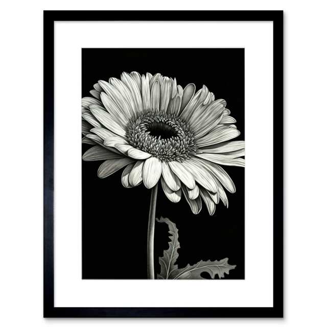 "Black White Pencil Drawing of a Gerbera Flower 9x7"" Black Framed Wall Art Print"