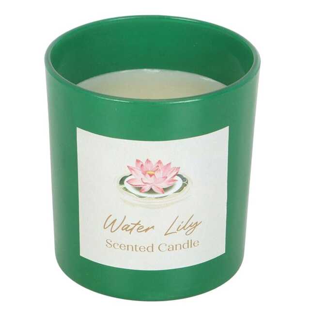 Something Different Water Lily Scented Candle - Green - One Size