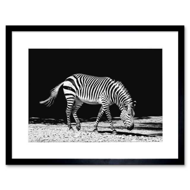 "Lone Zebra Black White Animal Lover 9x7"" Black Framed Wall Art Print"