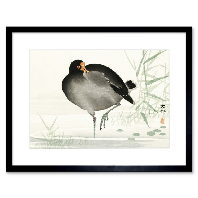"Watercolour Moorhen Bird Japanese Ohara Koson 9x7"" Black Framed Wall Art Print"