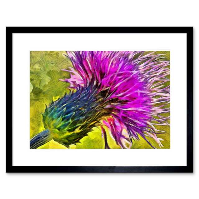 "Scottish Thistle Flower Vibrant Floral 9x7"" Black Framed Wall Art Print"