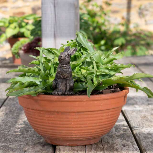 Jardinopia Rabbit Drip-Feed Topper with Plant Food Bronze H10.5 x W5.5 x D6.5cm
