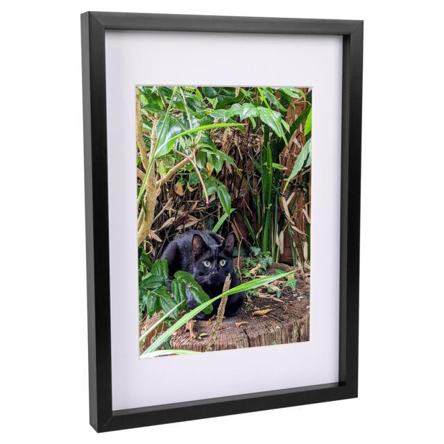 "Nicola Spring 3D Box Photo Frame with A4 Mount - A3 (12"" x 17"") - Black/White"