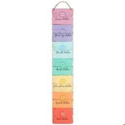 Spirit Of Equinox The Seven Chakras Wall Plaque - Multicoloured - One Size